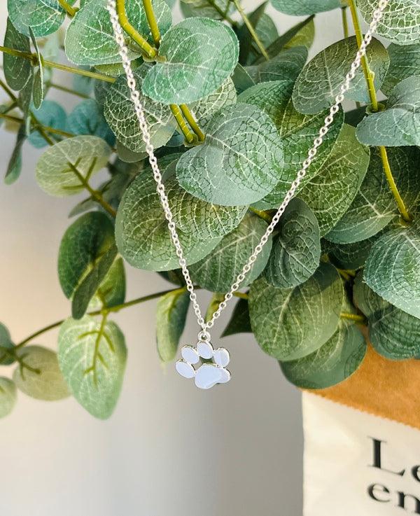 Colar de pata em prata elegante em aço inoxidável