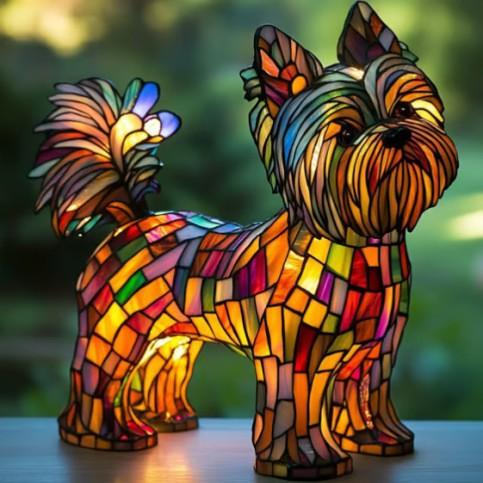 Terrier Yorkshire radiante