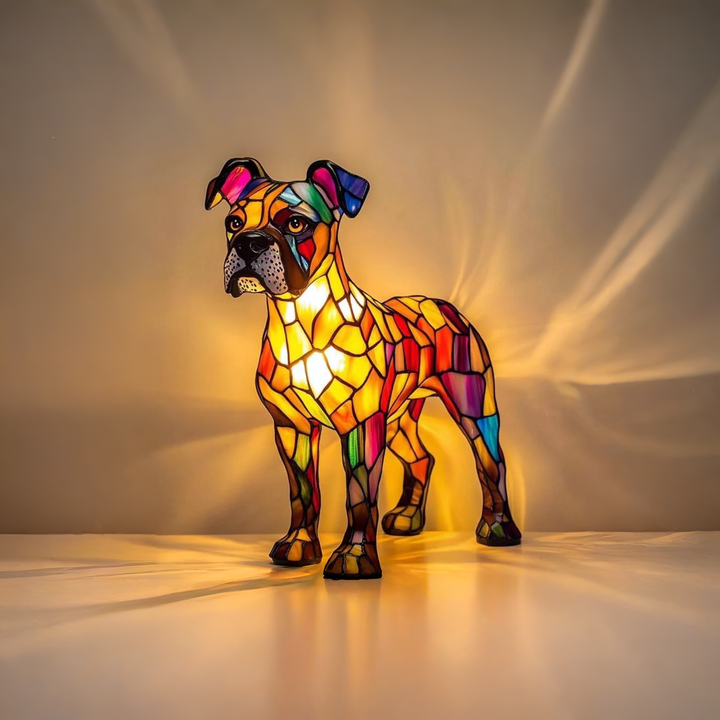 Boxer confortável e elegante para o seu dia a dia